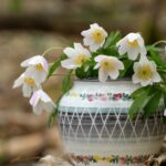 Idées originales pour sublimer votre intérieur avec un vase de décoration