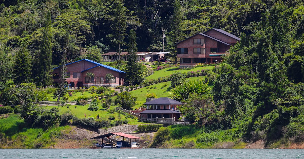 découvrez les opportunités lucratives de l'investissement dans l'immobilier rural. explorez les paysages pittoresques et les propriétés à fort potentiel, tout en bénéficiant d'une qualité de vie paisible. investir dans l'immobilier rural, c'est allier rentabilité et respect de l'environnement.