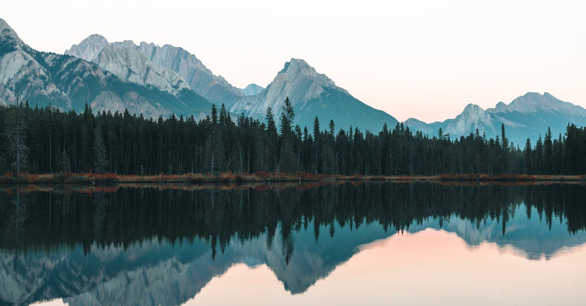 Découvrez Airplaneo : Partenaires de vos aventures autour du globe