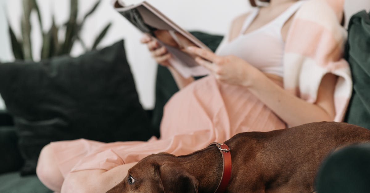 découvrez animal magazine : actualités, conseils et reportages sur le monde fascinant des animaux de compagnie et sauvages. passionnés et curieux, trouvez ici tout pour mieux comprendre nos amis à plumes, poils ou écailles !