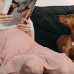 Actualités et conseils pratiques sur le monde animal avec Animaux Magazine