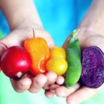 Conseils pratiques pour adopter une alimentation équilibrée au quotidien